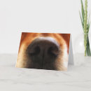 Suche nach steaks karten Dad