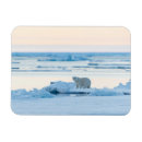 Suche nach eis magnete Normalweg