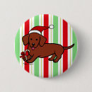 Recherche de teckels badges Mignon