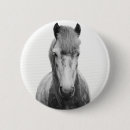 Suche nach graues pferd buttons Graupferd