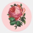 Suche nach single rose aufkleber Blühen