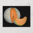 Recherche de melon cartes postales Cantaloupe
