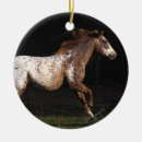 Suche nach appaloosa ornamente Bob langrish