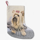 Recherche de noël de terrier Mignon