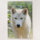Recherche de une canine puzzles Loup