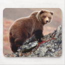 Suche nach braunbär mousepads Usa