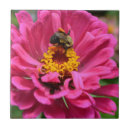 Suche nach hummel fliesen Blumenreich