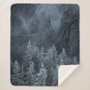 Suche nach schnee bedeckte baum Fotografie