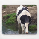 Suche nach holsteiner rind mousepads Kuh