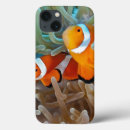 Recherche de faune et flore coques Nature