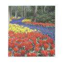 Suche nach holland notizblock Niederlande