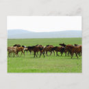 Recherche de galoper cartes postales Paysage