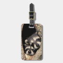 Suche nach waschbär accessoires Baby