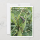 Suche nach gemeinsam postkarten Natur