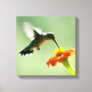 Recherche de de colibri art Tournesol
