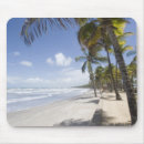 Recherche de attractions tapis souris Vacances