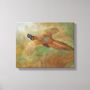 Recherche de peinture faisan Faune