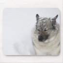 Suche nach entschlossenheit mousepads Horizontal