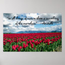 Recherche de tulipe rouge posters Tulipes rouges