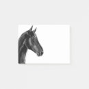 Recherche de cheval équin Animal