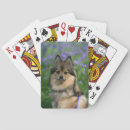 Recherche de spitz jeux de cartes Pomeranian