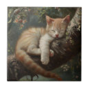 Recherche de chaton carreaux Mignon
