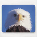 Suche nach hausfrau mousepads Raubvogel