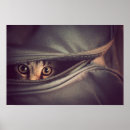 Recherche de chaton tigré posters Vigilance