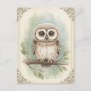 Recherche de jeune hibou cartes postales Animal