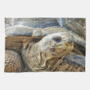 Suche nach schildkröten geschirr tücher Reptilien