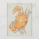 Recherche de illustration de crabe cartes postales Cancer