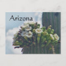 Recherche de saguaro cactus cartes postales Voyage