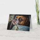 Suche nach boxen karten Lustige hunde