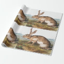 Recherche de lièvre papier cadeau Faune