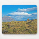 Recherche de patagonia tapis souris Montagne
