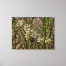 Suche nach bienen leinwandbilder Insekt