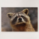 Recherche de raccoon puzzles Nature