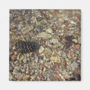 Suche nach kiesel magnete Natur