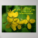Recherche de signification fleurs posters Pour elle