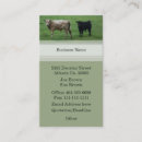 Recherche de vaches cartes visite Paysage