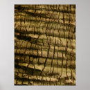 Suche nach tree bark poster Natur
