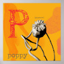 Suche nach poppy poster Mohn