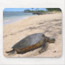 Recherche de hawaïen tapis souris Tortues