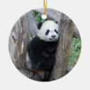 Recherche de panda de bébé ornements Mignon