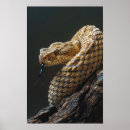 Recherche de géographique posters Aventure