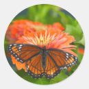 Suche nach admiral aufkleber Blume