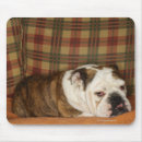 Suche nach sofa mousepads Zuhauseinnenraum