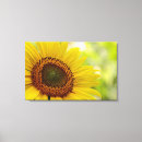 Suche nach kreative leinwandbilder Blume