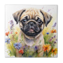 Suche nach freud fliesen Aquarell