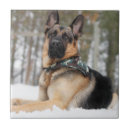 Suche nach bandana fliesen Welpe
